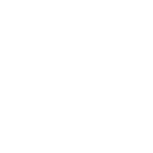 BRI ALVA logo