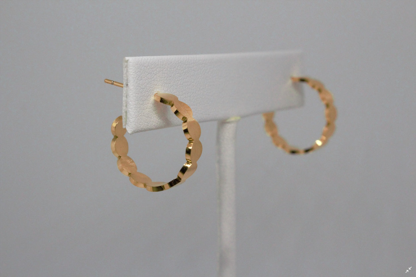 Small Circle Hoop Earrings